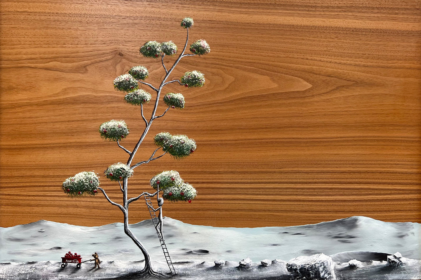 ALIEN TEDDY 6 PACK ADVENTURE